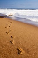 Family Counselling. Library Image: Steps in Sand (Sml)